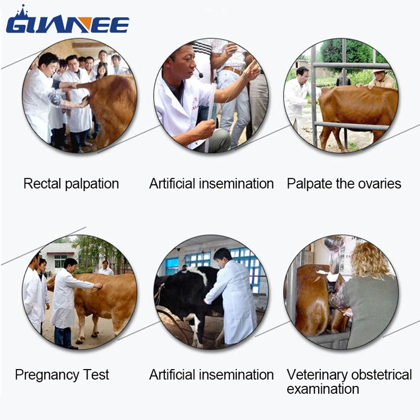 Application of PE gloves Application of PE gloves