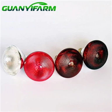 Infrasarkanās siltuma lampas