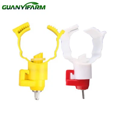 Krūšu dzērājs putniem