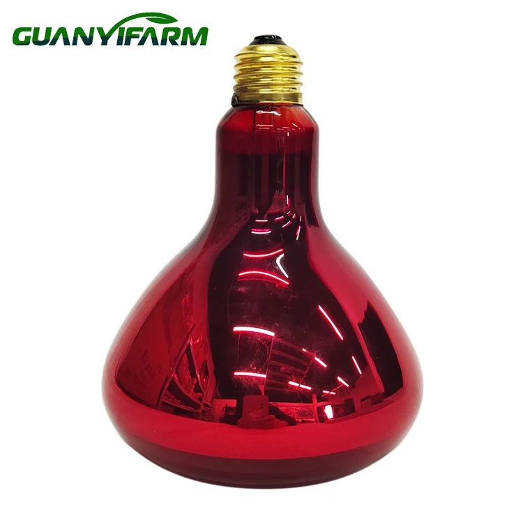 375 w siltuma lampa