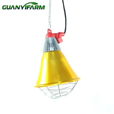 Brooder lampa